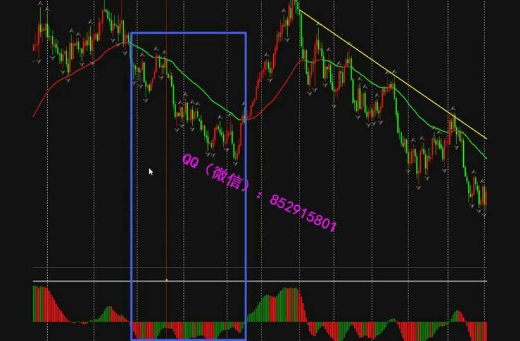 forexmanmayashizhan1.jpg